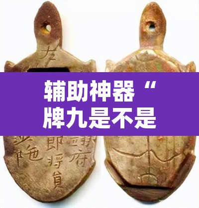 辅助神器“牌九是不是有挂”其实确实有挂