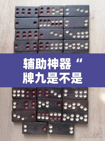 辅助神器“牌九是不是有挂”其实确实有挂