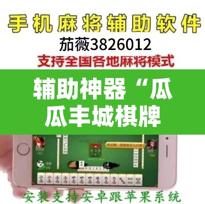辅助神器“瓜瓜丰城棋牌挂怎么安装”其实确实有挂