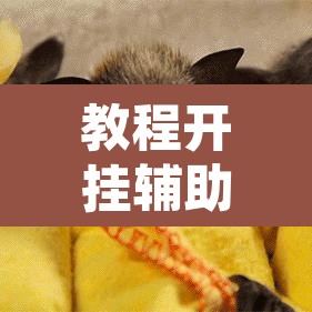 教程开挂辅助“手机麻将软件只赢不输	”其实确实有挂