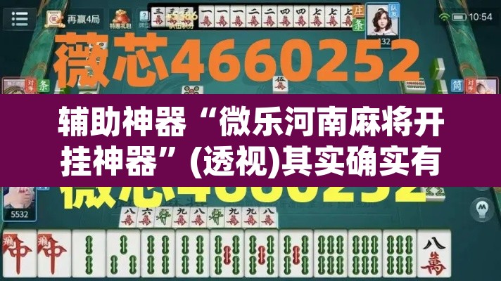 辅助神器“微乐河南麻将开挂神器”(透视)其实确实有挂