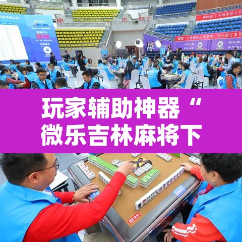 玩家辅助神器“微乐吉林麻将下载安装到手机”附辅助神器开挂脚本详细步骤
