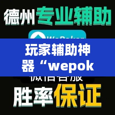 玩家辅助神器“wepoker作 弊透视开挂”(透视挂)辅助透视教程