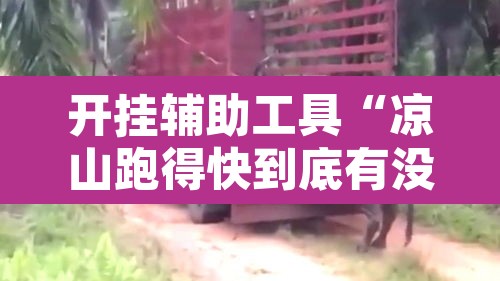 开挂辅助工具“凉山跑得快到底有没有挂”其实确实有挂