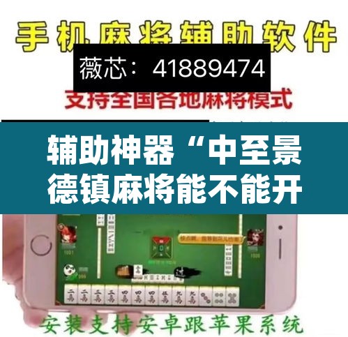 辅助神器“中至景德镇麻将能不能开挂”(透视)其实确实有挂