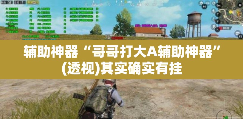 辅助神器“哥哥打大A辅助神器	”(透视)其实确实有挂