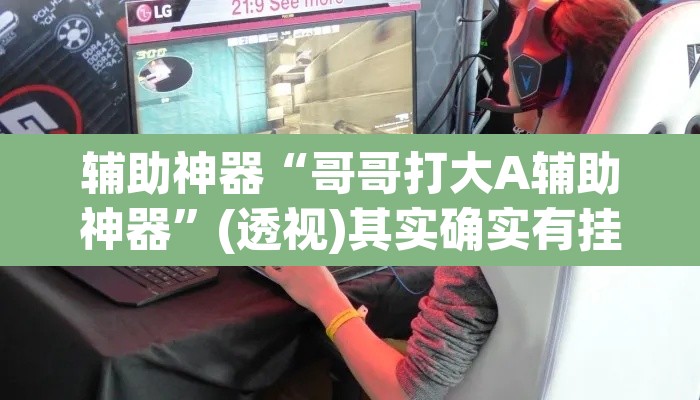 辅助神器“哥哥打大A辅助神器”(透视)其实确实有挂
