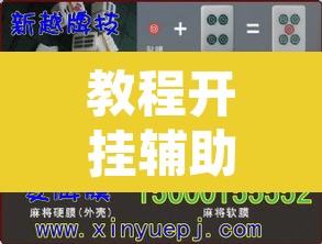 教程开挂辅助“德扑之星辅助作弊透视教程”其实确实有挂