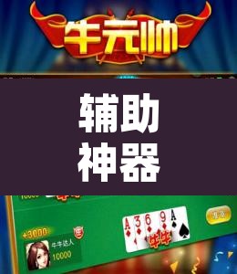 辅助神器“九九休闲斗牛辅助器辅助透视脚本	”附辅助神器开挂脚本详细步骤