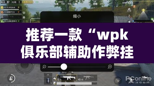推荐一款“wpk俱乐部辅助作弊挂透视挂	”(透视)其实确实有挂