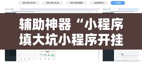 辅助神器“小程序填大坑小程序开挂下载”开挂辅助脚本+详细开挂安装教程