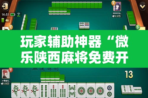 玩家辅助神器“微乐陕西麻将免费开挂神器”附辅助神器开挂脚本详细步骤