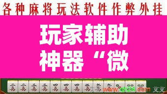 玩家辅助神器“微乐陕西麻将免费开挂神器	”附辅助神器开挂脚本详细步骤
