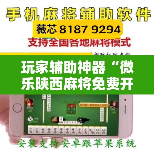 玩家辅助神器“微乐陕西麻将免费开挂神器”附辅助神器开挂脚本详细步骤