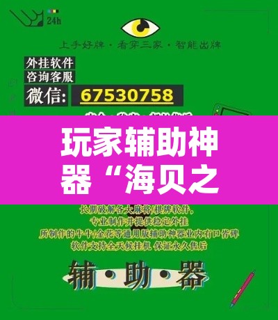 玩家辅助神器“海贝之城拼三张透视软件”附辅助神器开挂脚本详细步骤