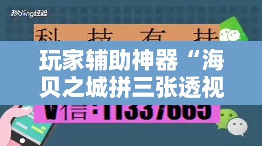 玩家辅助神器“海贝之城拼三张透视软件”附辅助神器开挂脚本详细步骤