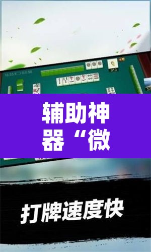 辅助神器“微乐斗地主外卦神器下载”其实确实有挂