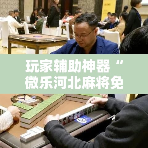 玩家辅助神器“微乐河北麻将免费房间怎么开挂”附辅助神器开挂脚本详细步骤