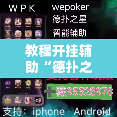 教程开挂辅助“德扑之星辅助下载教程	”(透视挂)辅助透视教程