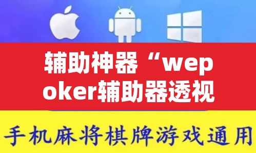 辅助神器“wepoker辅助器透视挂”其实确实有挂