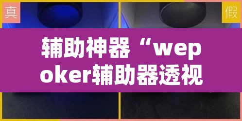 辅助神器“wepoker辅助器透视挂	”其实确实有挂