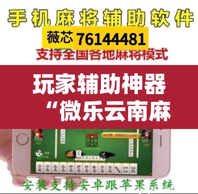 玩家辅助神器“微乐云南麻将开挂神器下载”(透视挂)辅助透视教程