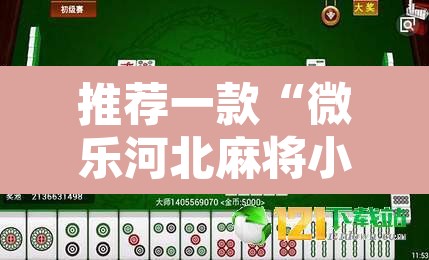 推荐一款“微乐河北麻将小程序万能挂”其实确实有挂