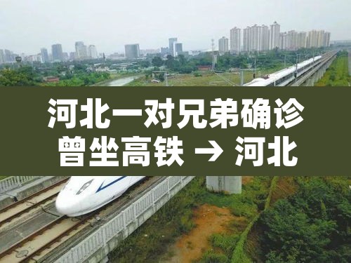 河北一对兄弟确诊曾坐高铁 → 河北两兄弟确诊