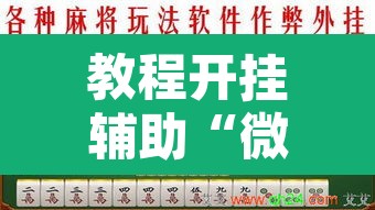 教程开挂辅助“微乐海南麻将开挂神器”其实确实有挂