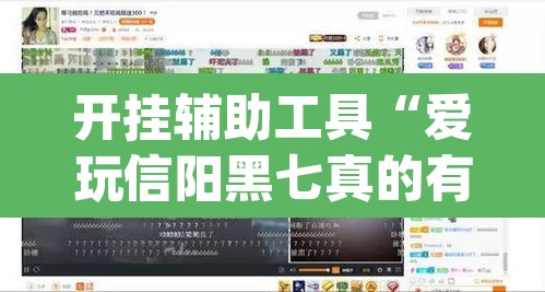 开挂辅助工具“爱玩信阳黑七真的有挂吗”(透视)其实确实有挂