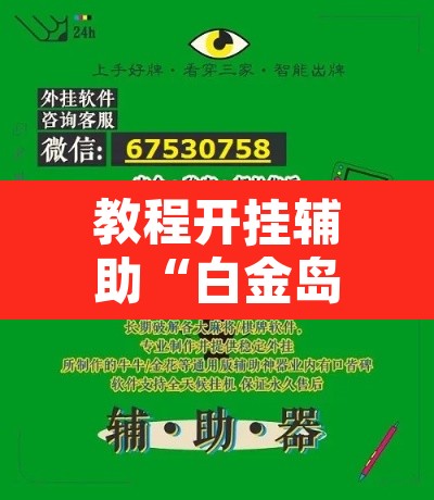 教程开挂辅助“白金岛三打哈挂”开挂辅助脚本+详细开挂安装教程