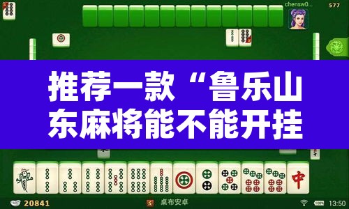 推荐一款“鲁乐山东麻将能不能开挂”开挂辅助脚本+详细开挂安装教程