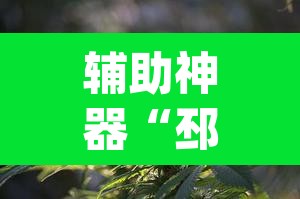 辅助神器“邳州友友麻将开挂神器	”(透视)其实确实有挂