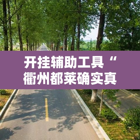 开挂辅助工具“衢州都莱确实真的有挂”(透视)其实确实有挂