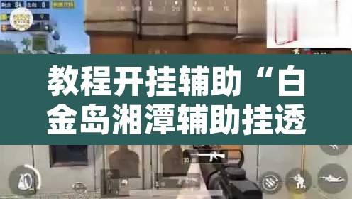 教程开挂辅助“白金岛湘潭辅助挂透视教程”其实确实有挂