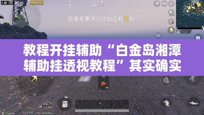 教程开挂辅助“白金岛湘潭辅助挂透视教程	”其实确实有挂