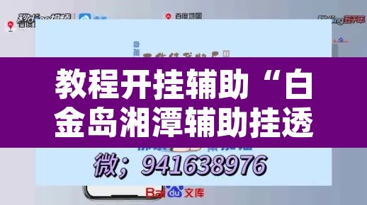 教程开挂辅助“白金岛湘潭辅助挂透视教程”其实确实有挂
