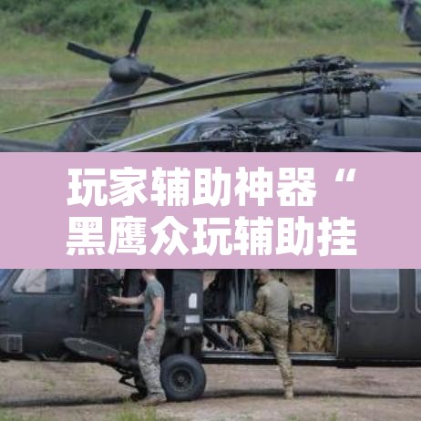 玩家辅助神器“黑鹰众玩辅助挂”其实确实有挂