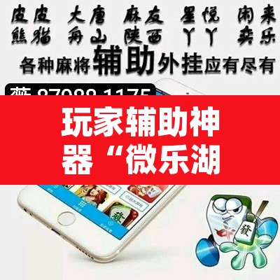 玩家辅助神器“微乐湖南麻将万能开挂器”其实确实有挂