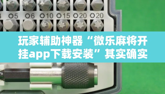 玩家辅助神器“微乐麻将开挂app下载安装”其实确实有挂