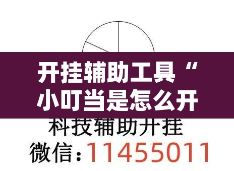开挂辅助工具“小叮当是怎么开挂的”(透视挂)辅助透视教程