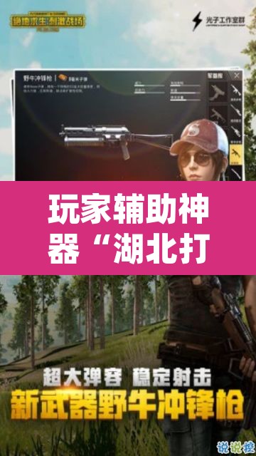 玩家辅助神器“湖北打滚要怎么开挂开挂”(透视)其实确实有挂