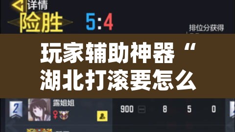 玩家辅助神器“湖北打滚要怎么开挂开挂”(透视)其实确实有挂