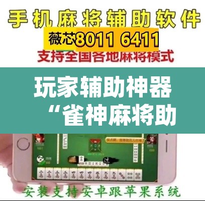 玩家辅助神器“雀神麻将助赢神器购买”(透视)其实确实有挂