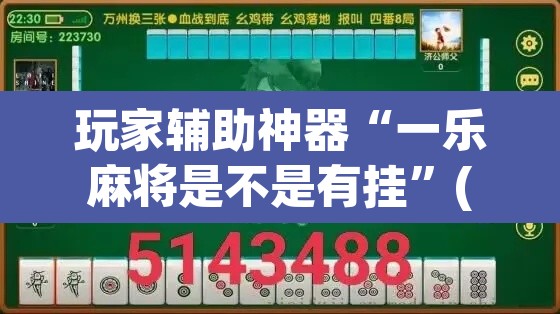 玩家辅助神器“一乐麻将是不是有挂”(透视)其实确实有挂