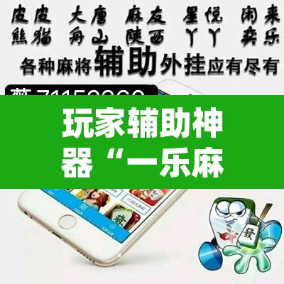 玩家辅助神器“一乐麻将是不是有挂”(透视)其实确实有挂