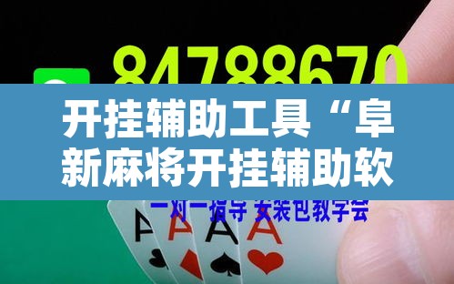 开挂辅助工具“阜新麻将开挂辅助软件”其实确实有挂