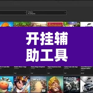 开挂辅助工具“超稳大厅作弊辅助透视开挂”开挂辅助脚本+详细开挂安装教程