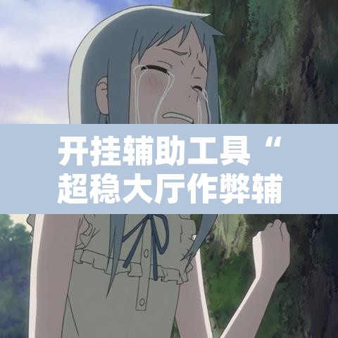 开挂辅助工具“超稳大厅作弊辅助透视开挂”开挂辅助脚本+详细开挂安装教程
