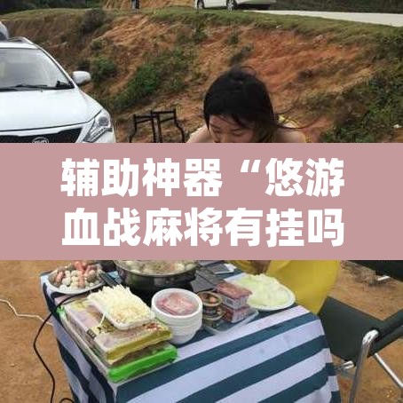 辅助神器“悠游血战麻将有挂吗”(透视挂)辅助透视教程